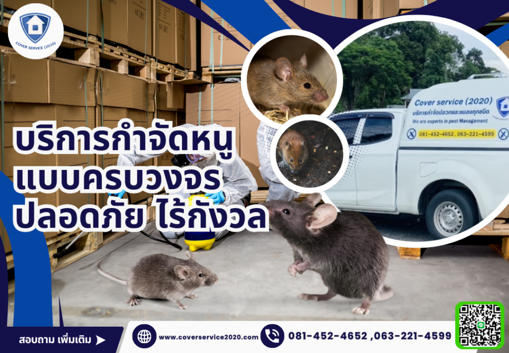 กำจัดหนู บางพลี