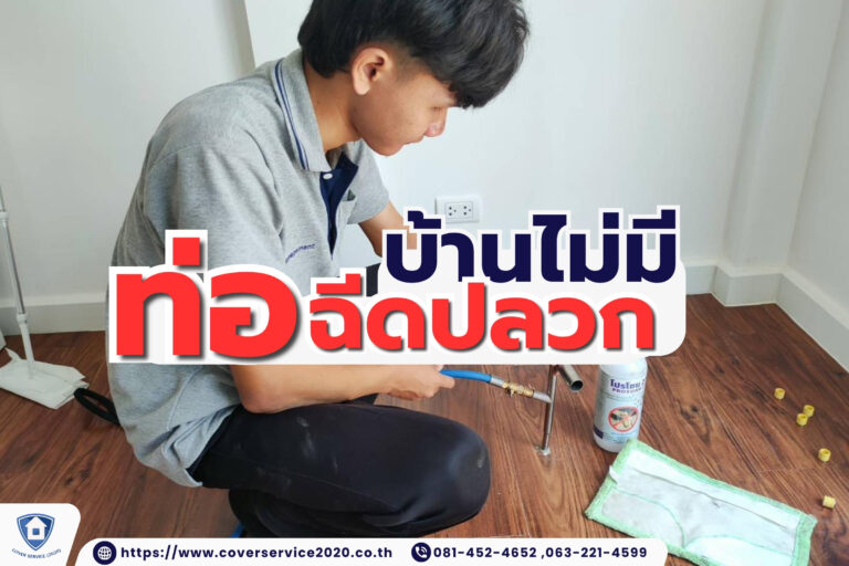 กำจัดปลวกในบ้านไม่มีท่อฉีดปลวก