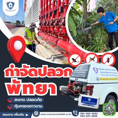 กำจัดปลวกพัทยา