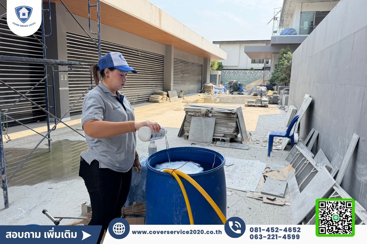 วิธีกำจัดปลวก