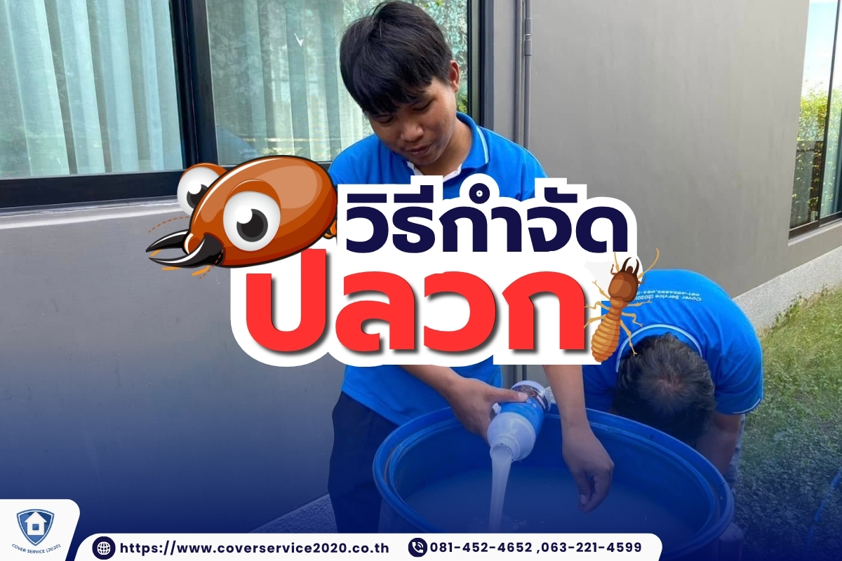 วิธีกำจัดปลวก